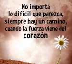frase11.jpg