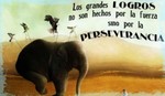 frase31.jpg