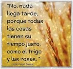 frase60.jpg
