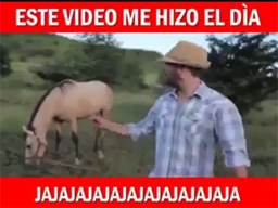 llamada entrante